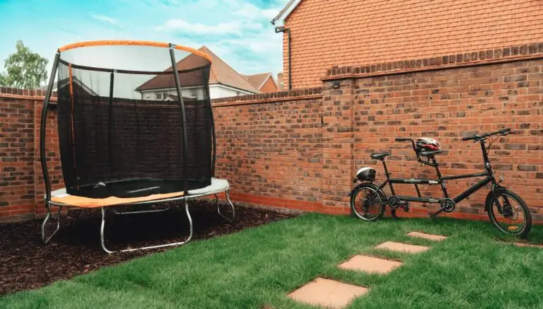 KingfisherHouseBackGarden